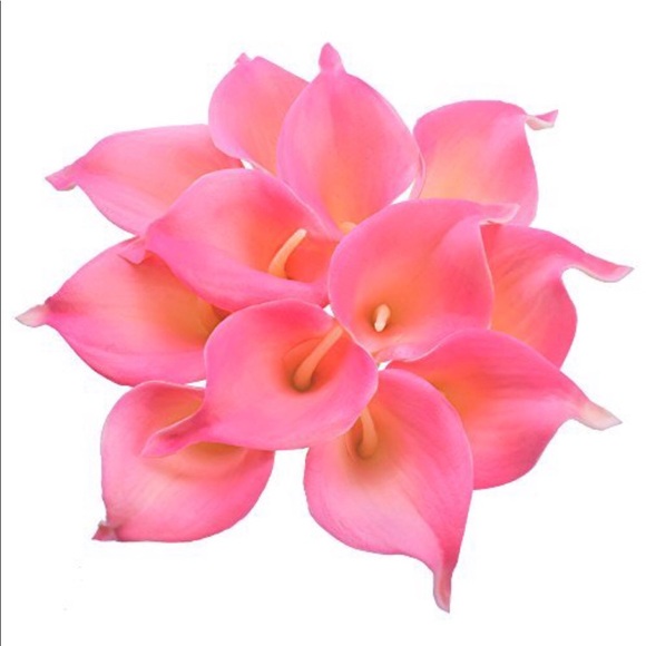 Bags & Wallets - Picture 1 of 1